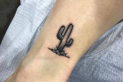Little freehand cactus.  #philadelphiatattooconvention #villainarts #cactus #cactustattoo #tattoo #langdaleart