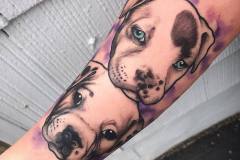 This is my version of ?realistic black and gray pup portraits with watercolor background?. #tattoo #portraittattoo #dogportrait #pitbulltattoo #puppies #langdaleart #baltimoreavetattoo #mediapa #philadelphiatattoo #philadelphiaartist #philly #pawprint