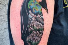 Animalandscape.
.
.
#tattooart #penguin #tattoo #northernlights #environmenttattoo #landscapetattoo #auroraborealis #philadelphiatattoo