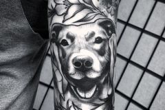 Portrait illustration of Nena the pit and some poppies and blossoms below a cool fox by @challenjer .  Thanks so much to Irissa for making the multi-state trek! .
.
.
#tattoo #pitbull #pitbulltattoo #petportrait #blacktattoo #poppies #floraltttoo #tattooart #flowers #philadelphiatattoo #philadelphiaartist